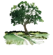 Oak Meadows Lodge