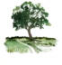 oakmeadowslodge
